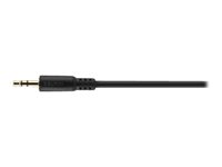 Belkin - Cable de audio - mini-phone stereo 35 mm macho a mini-phone stereo 35 mm macho - F8V203TT06-E3-P