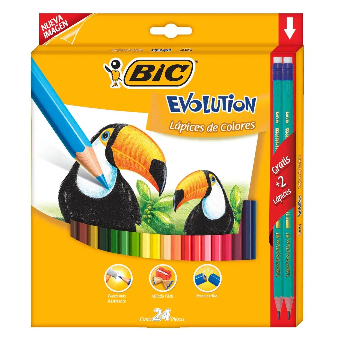 COLORES BIC EVOLUTION 24 PIEZAS          EVOLUTION. LAPICES DE COLORES BRILLANTES GAMAS DE COLORES. PUNTA RESISTENTE HECHO DE RESINA. 50% RECICLADO. GRAN DURABILIDAD. NO SE ASTILLA                                                                                                                     COLORES CONTE EVOLUTION CAJA 24 PIEZAS   - BIC