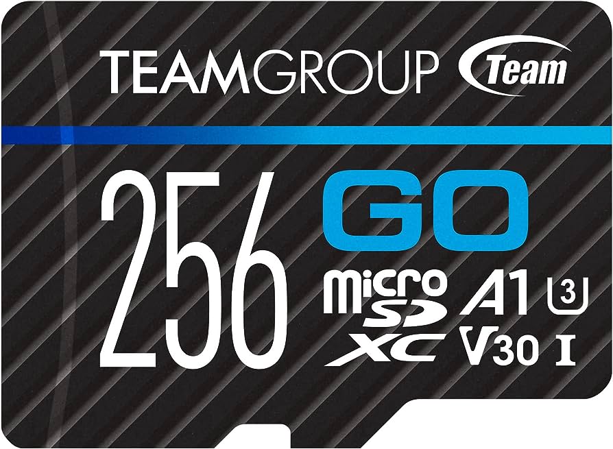 Memoria Micro Sd Teamgroup Go Card 256Gb 4K Uhs I U3 100 Mb S Con Adaptador Tgusdx256Gu303 - TEAM GROUP
