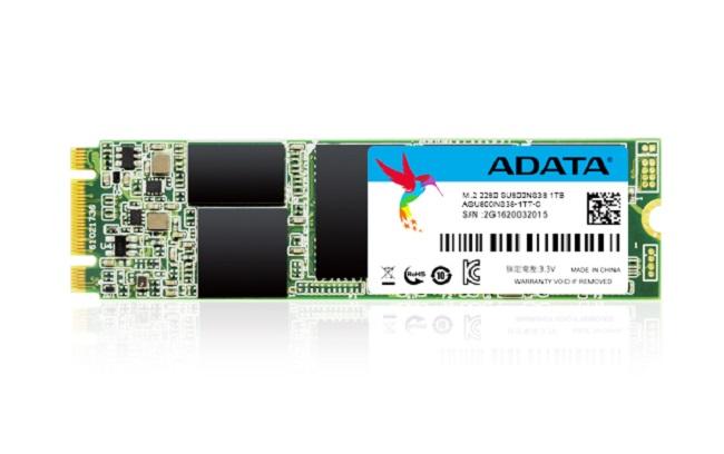 ADATA Ultimate SU800 - SSD - 1 TB - interno - M2 2280 - SATA 6Gb/s - ASU800NS38-1TT-C