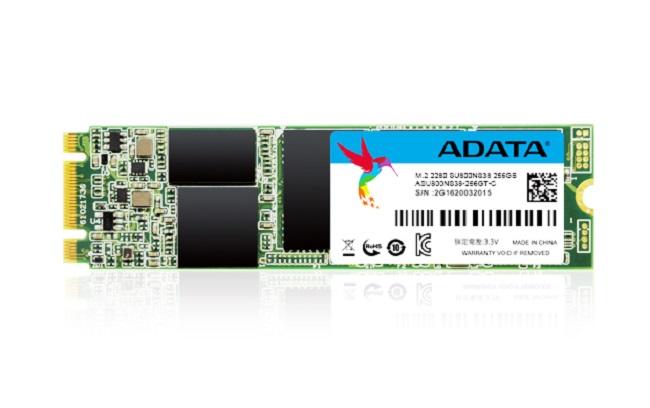 ADATA Ultimate SU800 - SSD - 256 GB - interno - M2 2280 - SATA 6Gb/s - ADATA