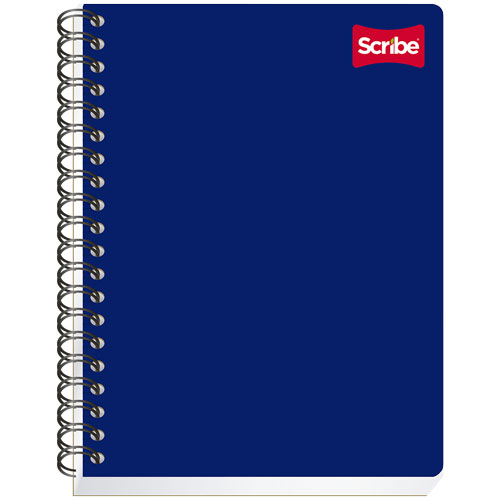 CUADERNO PROFESIONAL CUADRO GRANDE C/100 HOJAS  - MATOFICINA