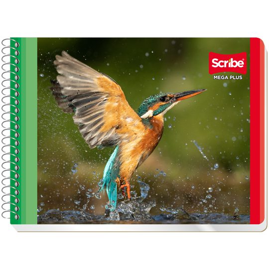 Cuaderno Scribe forma italiana mega plus Espiral sencillo, pasta semi rígida, 100 hojas, diferentes diseños                                                                                                                                                                                               cuadro grande (7 mm), con 100 hojas     - 1004533